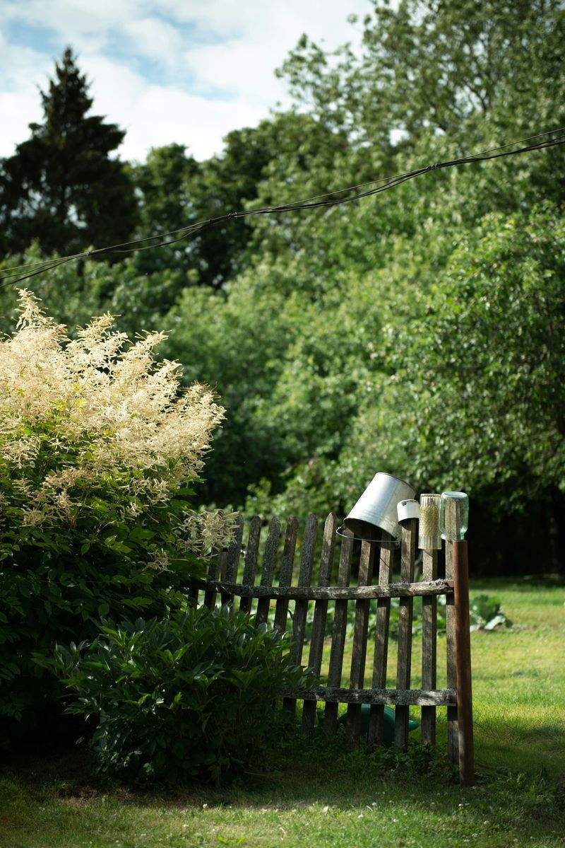 Frühjahrsfit im Garten: So starten Beete und Rasen gut in die Saison