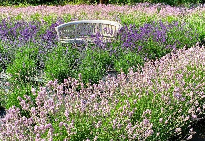 Grünblick Gartenservice GmbH 1