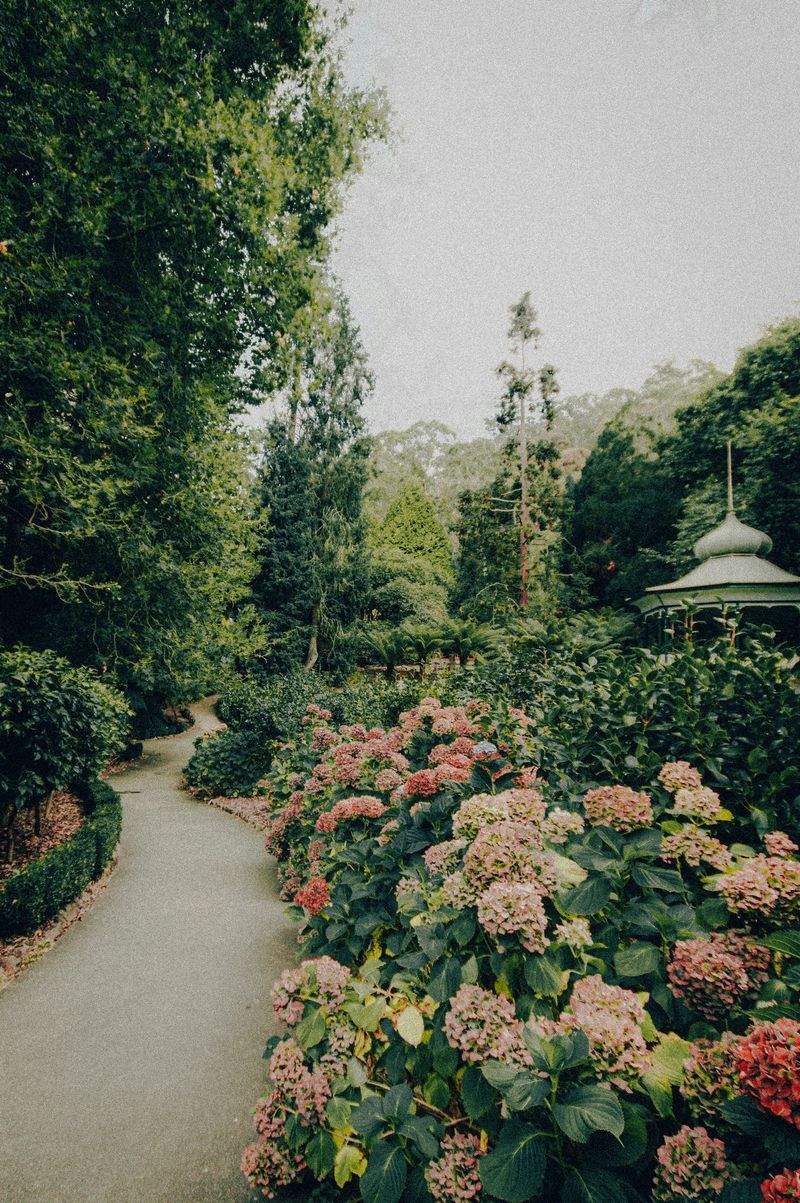 Grünblick Gartenservice GmbH 13
