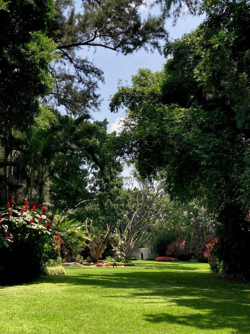 Grünblick Gartenservice GmbH 8
