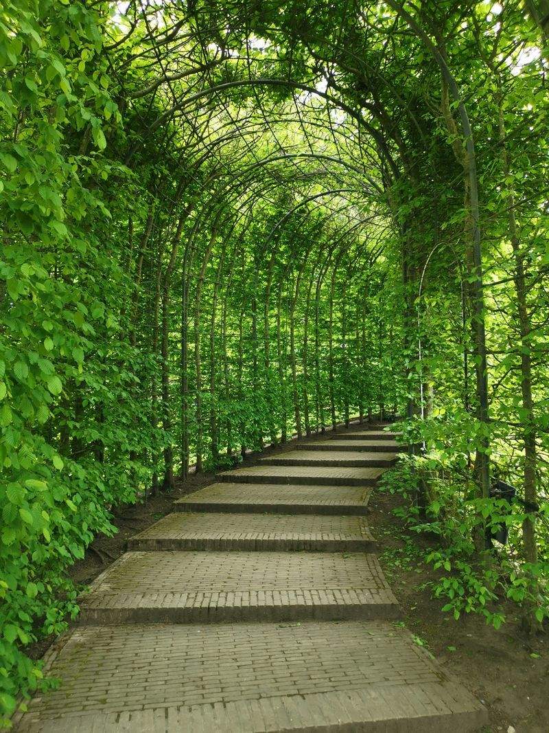 Grünblick Gartenservice GmbH