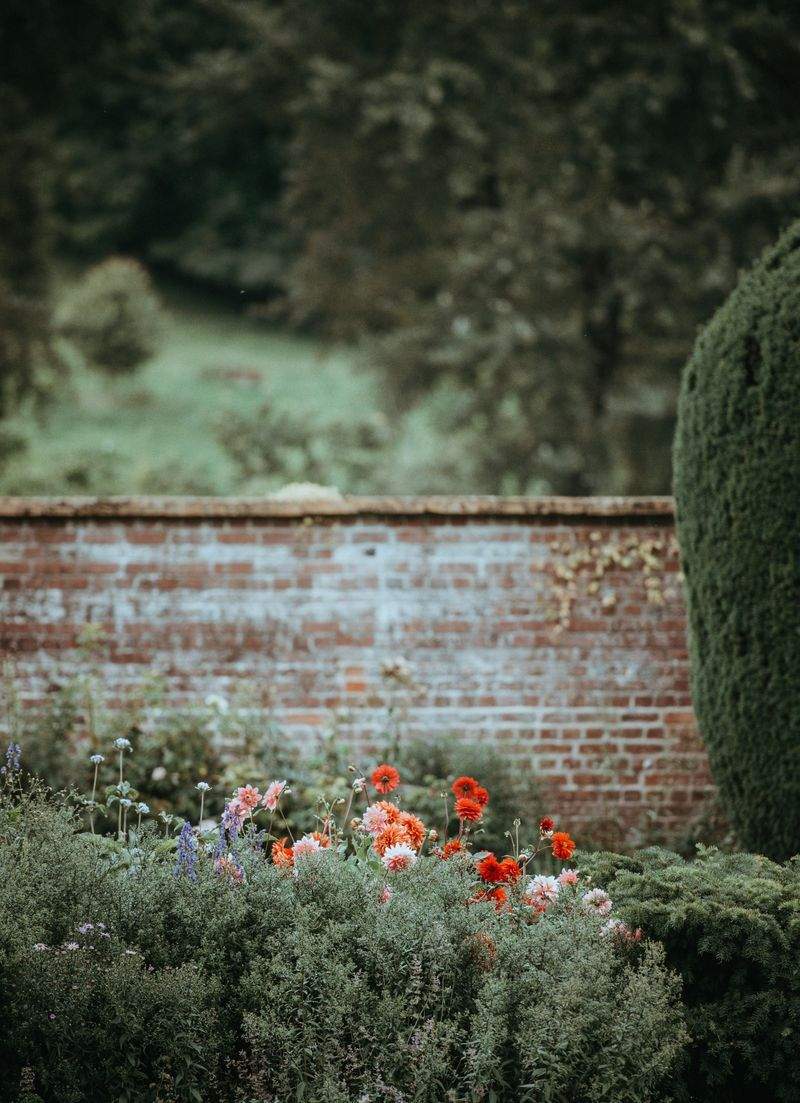 Gartenneuanlage und Bepflanzung